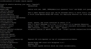 docker1