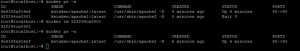 docker6